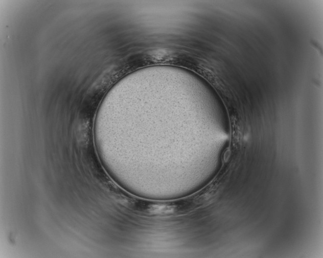 X0000103150319200809121822