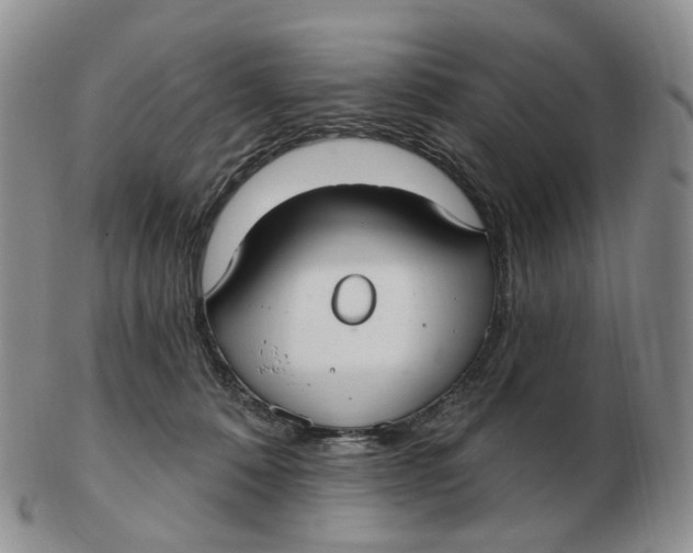 X0000103150320200809121822