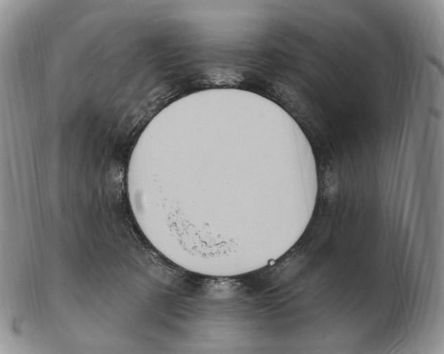 X0000103150321200809121822