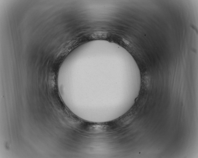 X0000103150323200809121822