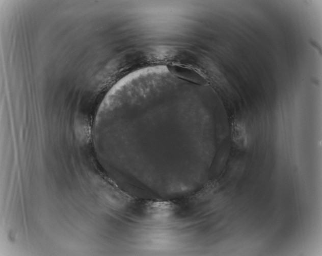 X0000103150324200809121822