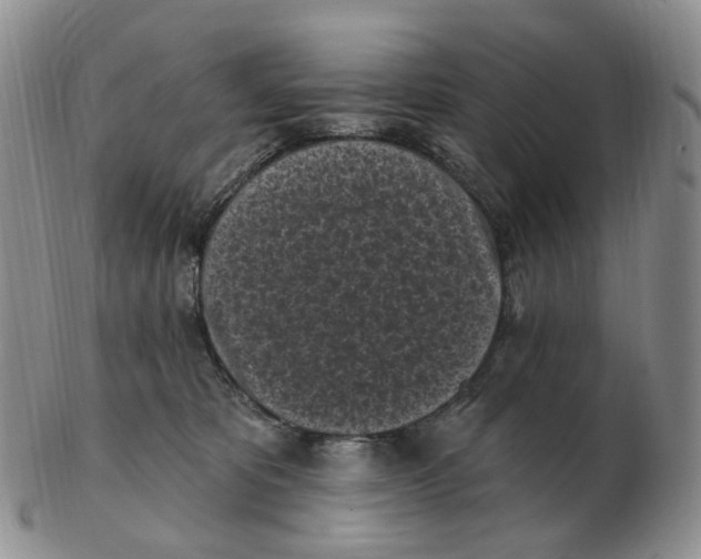 X0000103150325200809121822