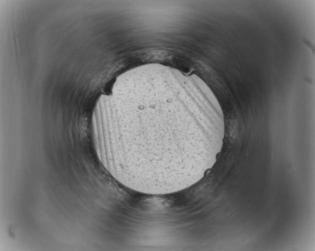 X0000103150326200809121822