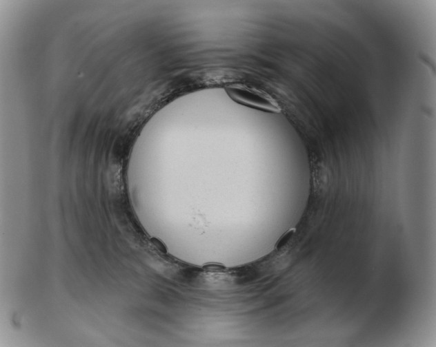 X0000103150327200809121822