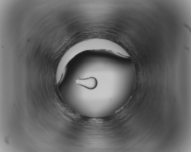 X0000103150328200809121822