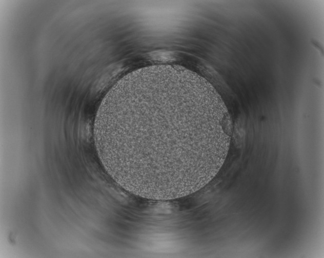 X0000103150330200809121822