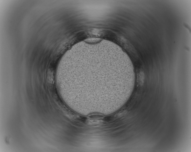 X0000103150331200809121822