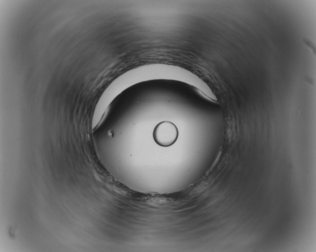 X0000103150332200809121822