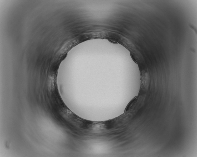 X0000103150333200809121822