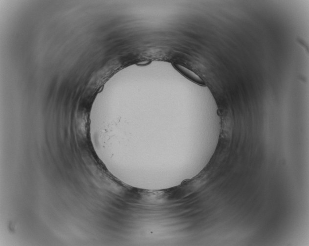 X0000103150334200809121822