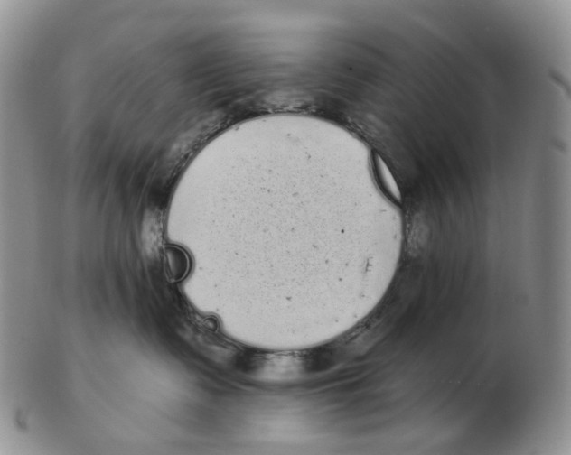 X0000103150335200809121822