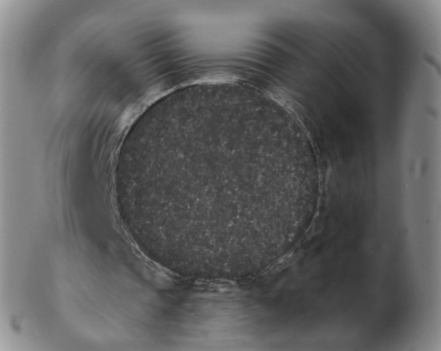 X0000103150337200809121821