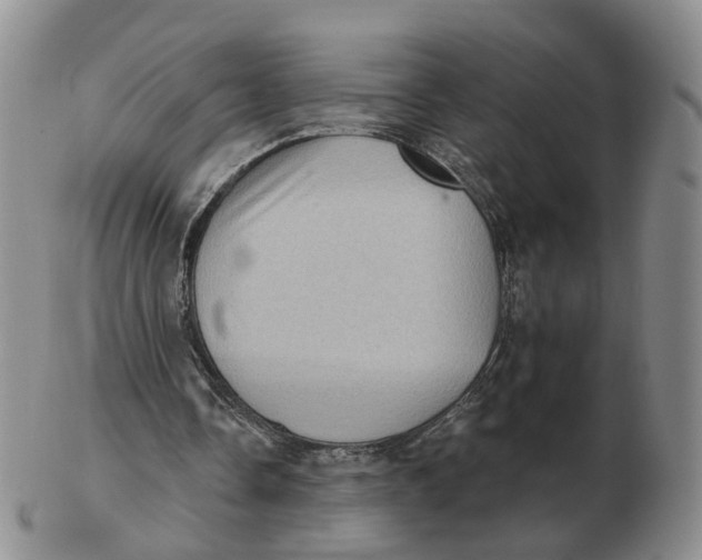 X0000103150338200809121821