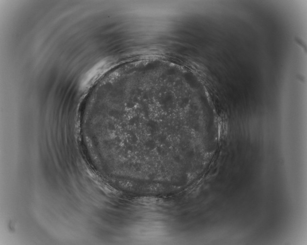 X0000103150339200809121821