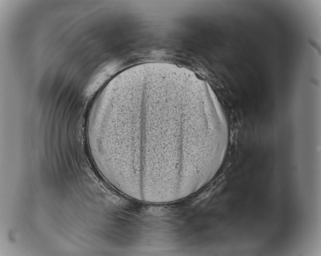 X0000103150341200809121821