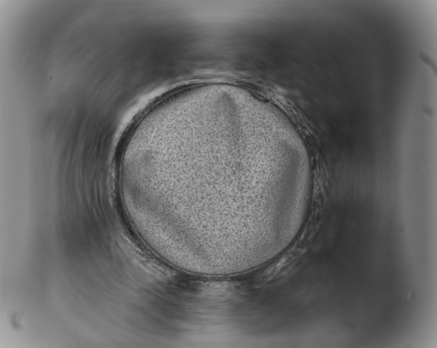 X0000103150342200809121821