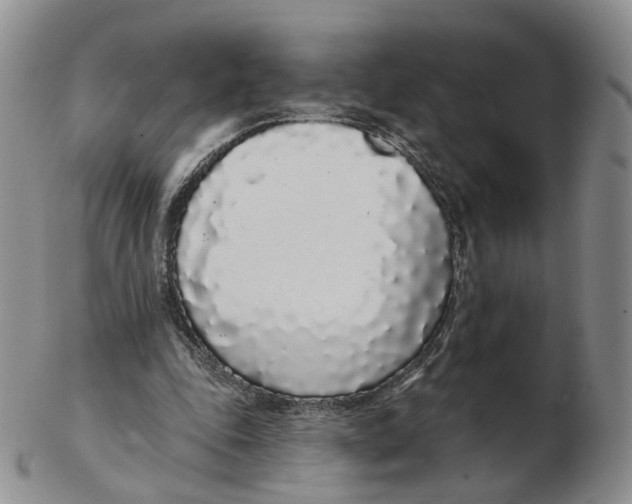 X0000103150343200809121821