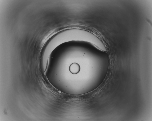 X0000103150344200809121821