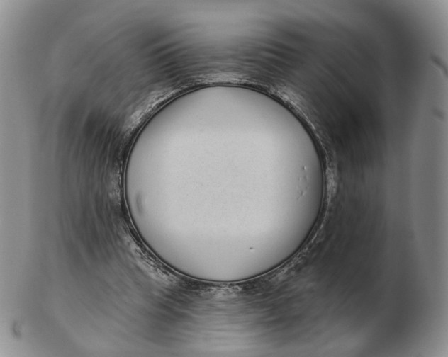 X0000103150345200809121821