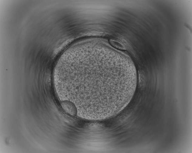 X0000103150348200809121821