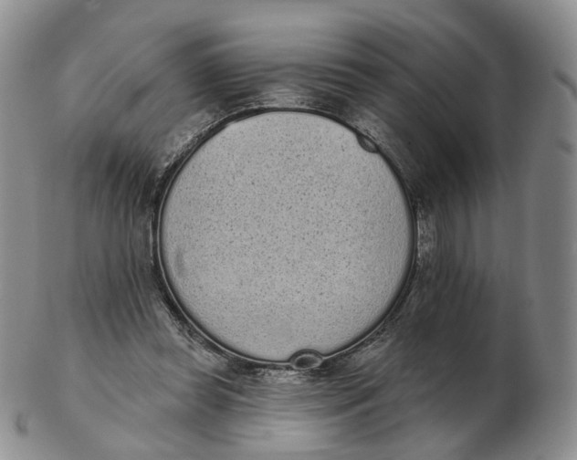 X0000103150349200809121821