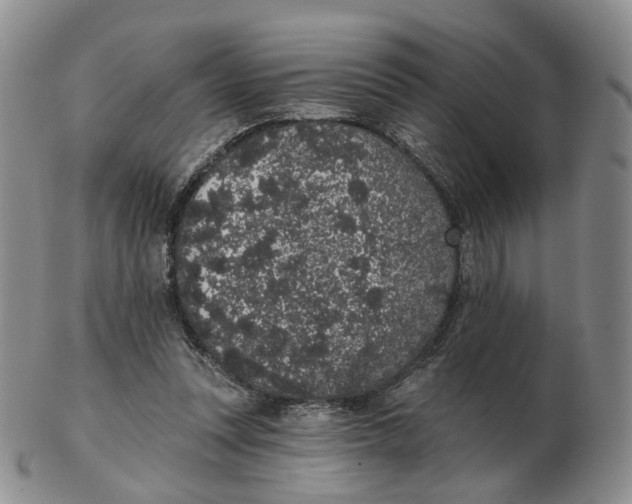 X0000103150351200809121821