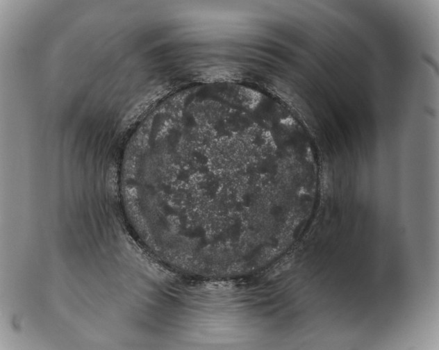 X0000103150353200809121821