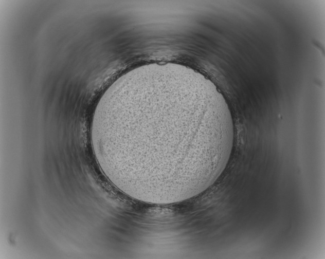 X0000103150354200809121821