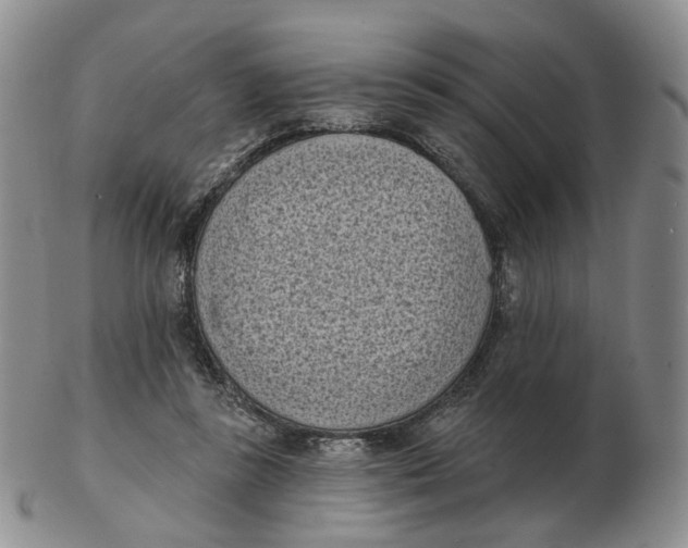 X0000103150355200809121821