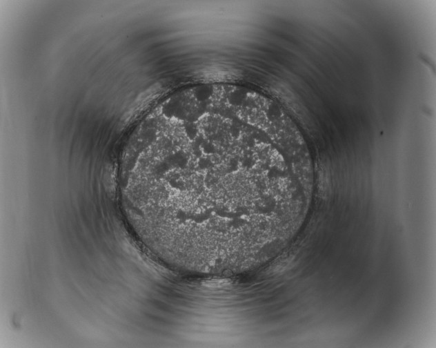 X0000103150357200809121821