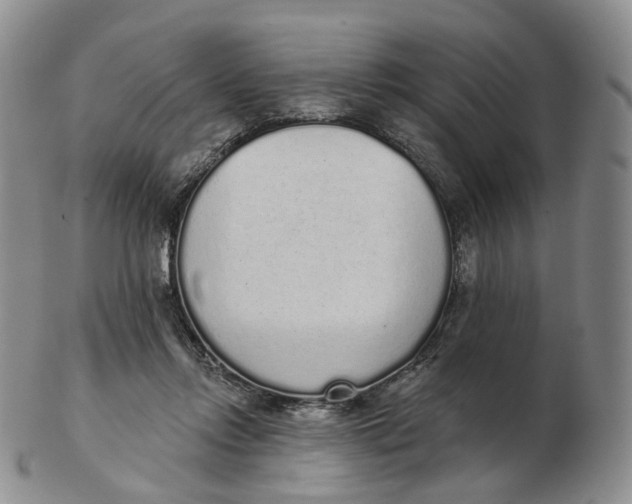 X0000103150358200809121821