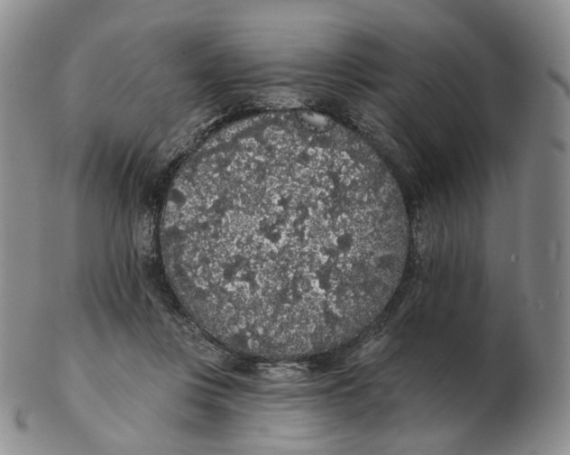 X0000103150359200809121821