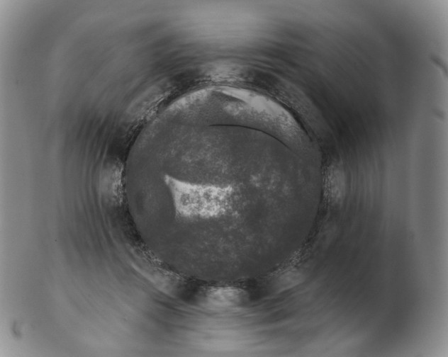 X0000103150360200809121821