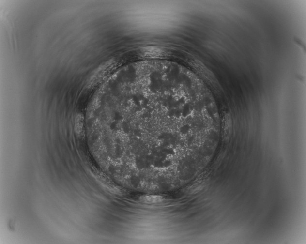 X0000103150361200809121821