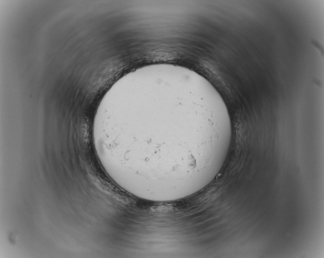 X0000103150362200809121821