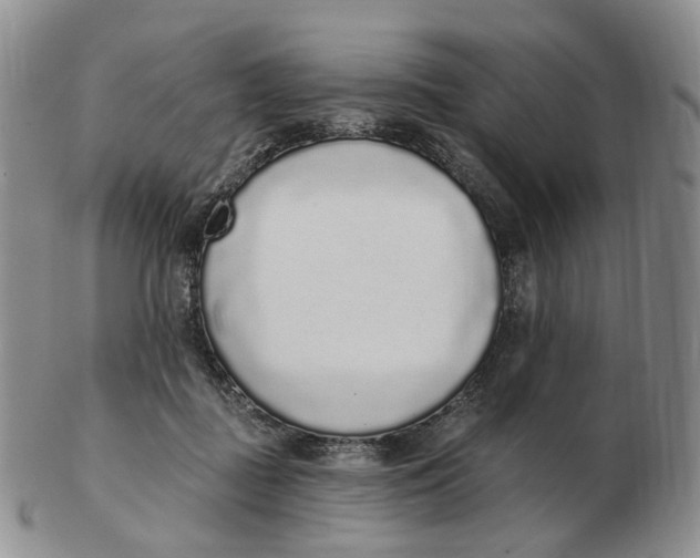 X0000103150363200809121821