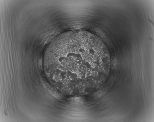 X0000103150365200809121821