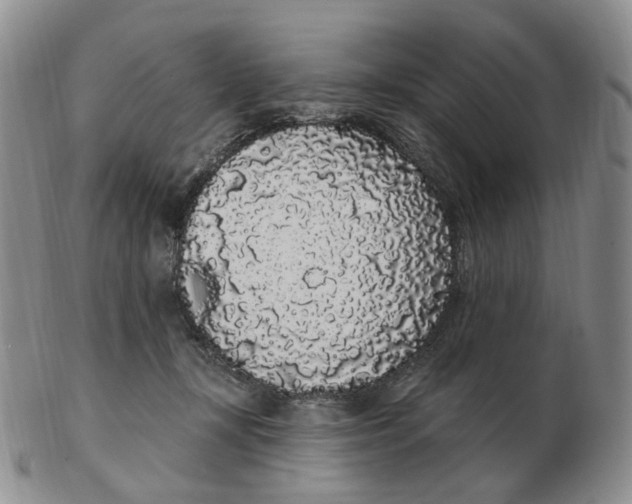 X0000103150367200809121821