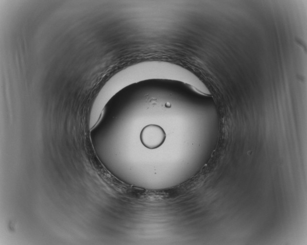 X0000103150368200809121821