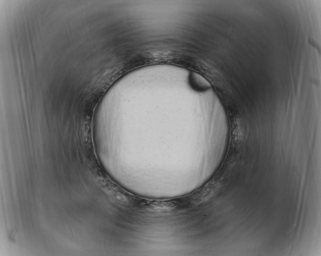 X0000103150369200809121821