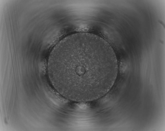 X0000103150370200809121821