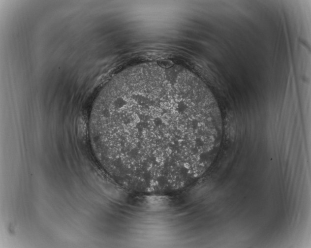 X0000103150371200809121821