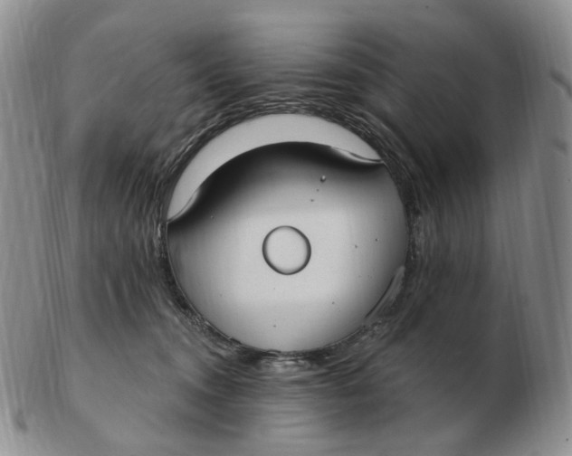 X0000103150372200809121821