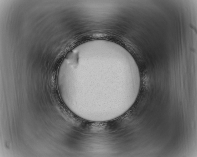 X0000103150373200809121821