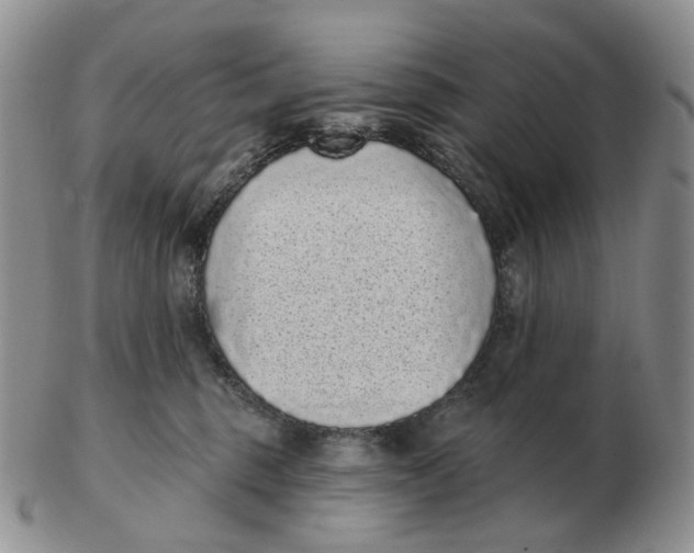 X0000103150375200809121821