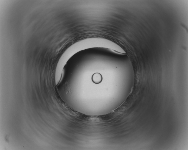 X0000103150376200809121821