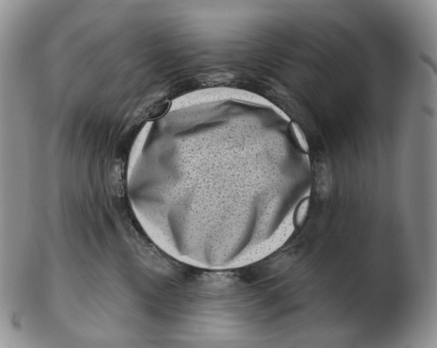 X0000103150378200809121821