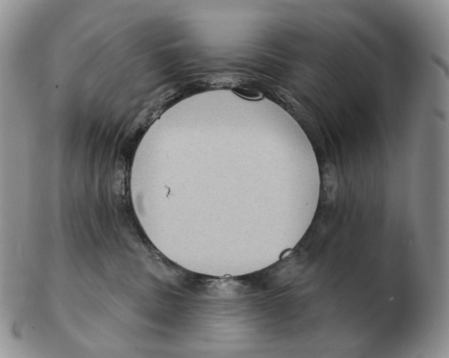 X0000103150379200809121821