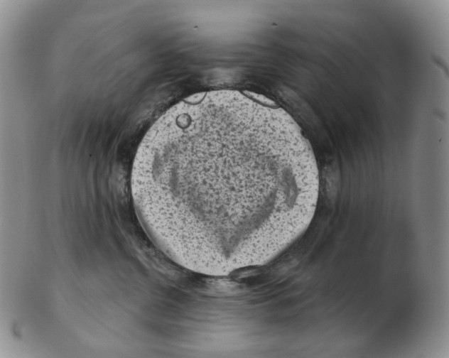 X0000103150380200809121821