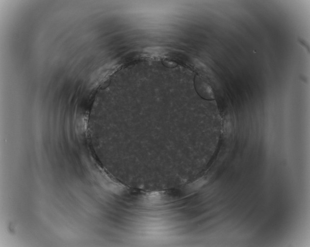 X0000103150382200809121822